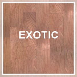 exotic04.05