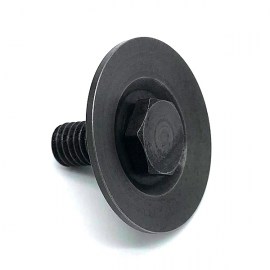 Lock Screw